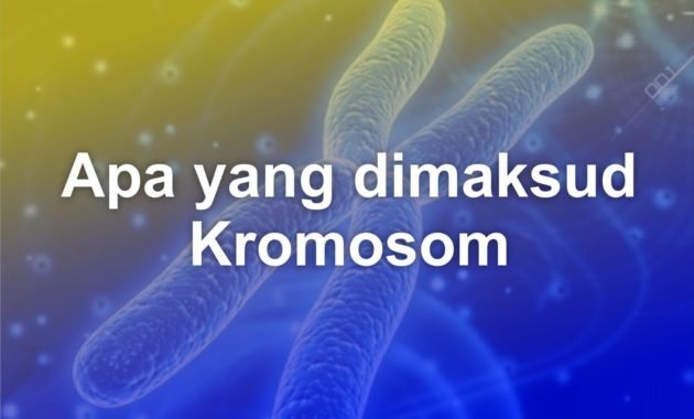 Apa yang dimaksud Kromosom? 38 Apa yang dimaksud Kromosom?