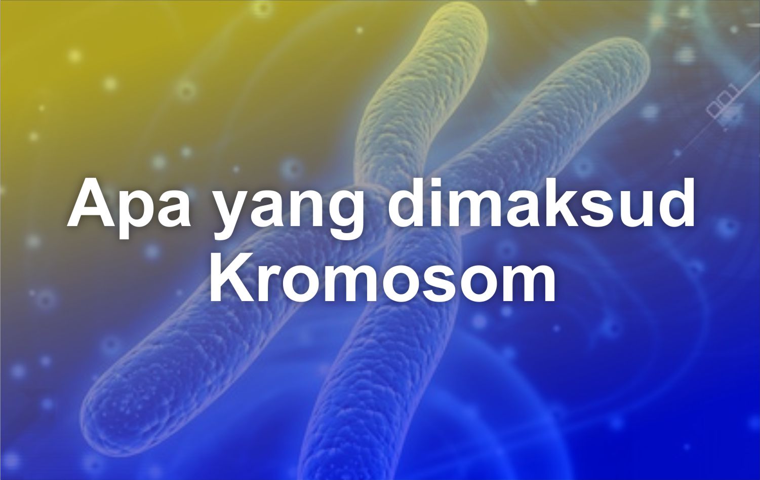 Apa yang dimaksud Kromosom?