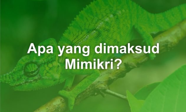 Apa yang dimaksud Mimikri? 21 Apa yang dimaksud Mimikri?