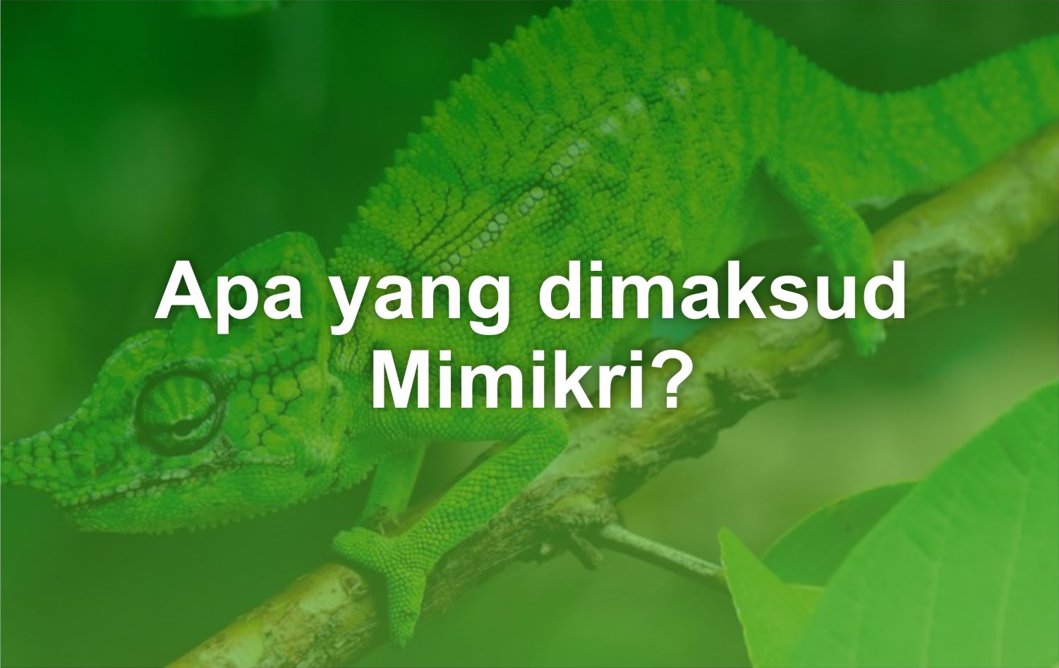 Apa yang dimaksud Mimikri?