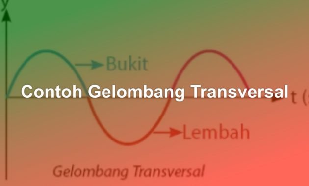 Contoh Gelombang Transversal 3 contoh gelombang transversal