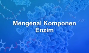 mengenal komponen enzim