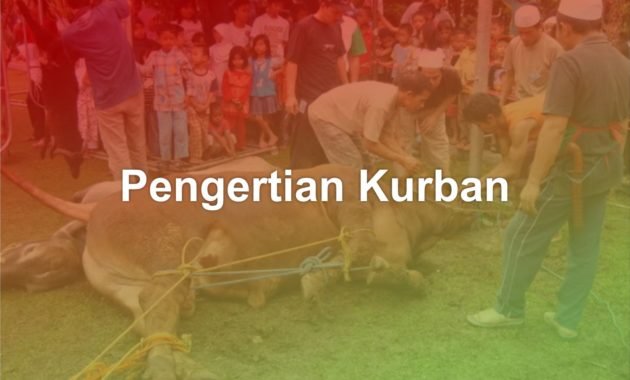 Pengertian Kurban 48 pengertian kurban