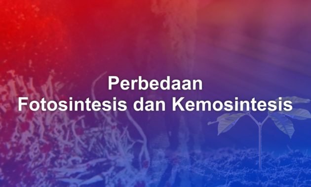 Perbedaan Fotosintesis dan Kemosintesis 37 perbedaan fotosintesis dan kemosintesis