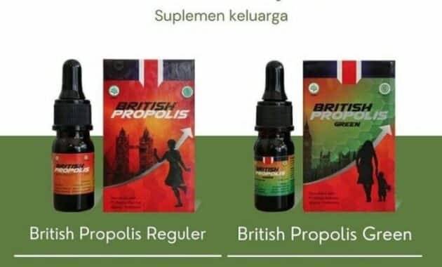 Rahasia Khasiat British Propolis Terungkap: Temukan Cara Kerjanya di Dalam 37 British Propolis