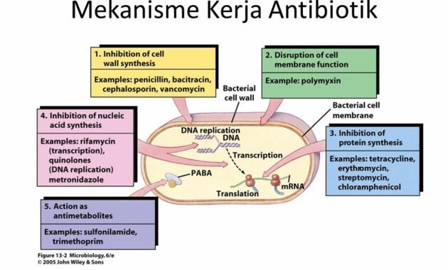 Cara Kerja Antibiotik yang Perlu Diketahui dan Pahami 27 Cara Kerja Antibiotik yang Perlu Diketahui dan Pahami