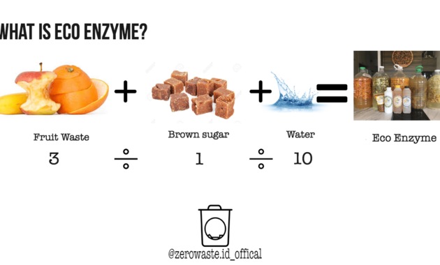 Cara Kerja Eco Enzyme dan Manfaatnya untuk Lingkungan dan Kesehatan 13 Eco Enzyme