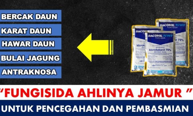 Cara Kerja Daconil 75 WP: Rahasia Ampuh Mengatasi Penyakit Tanaman dengan Mudah 16 Cara Kerja Daconil 75