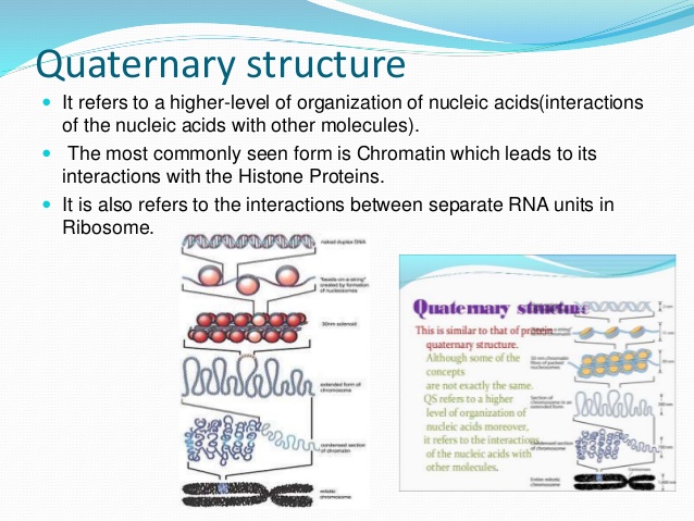 Structure and Function of Nucleic Acid