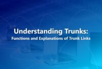 Understanding Trunks: Functions and Explanations of Trunk Links