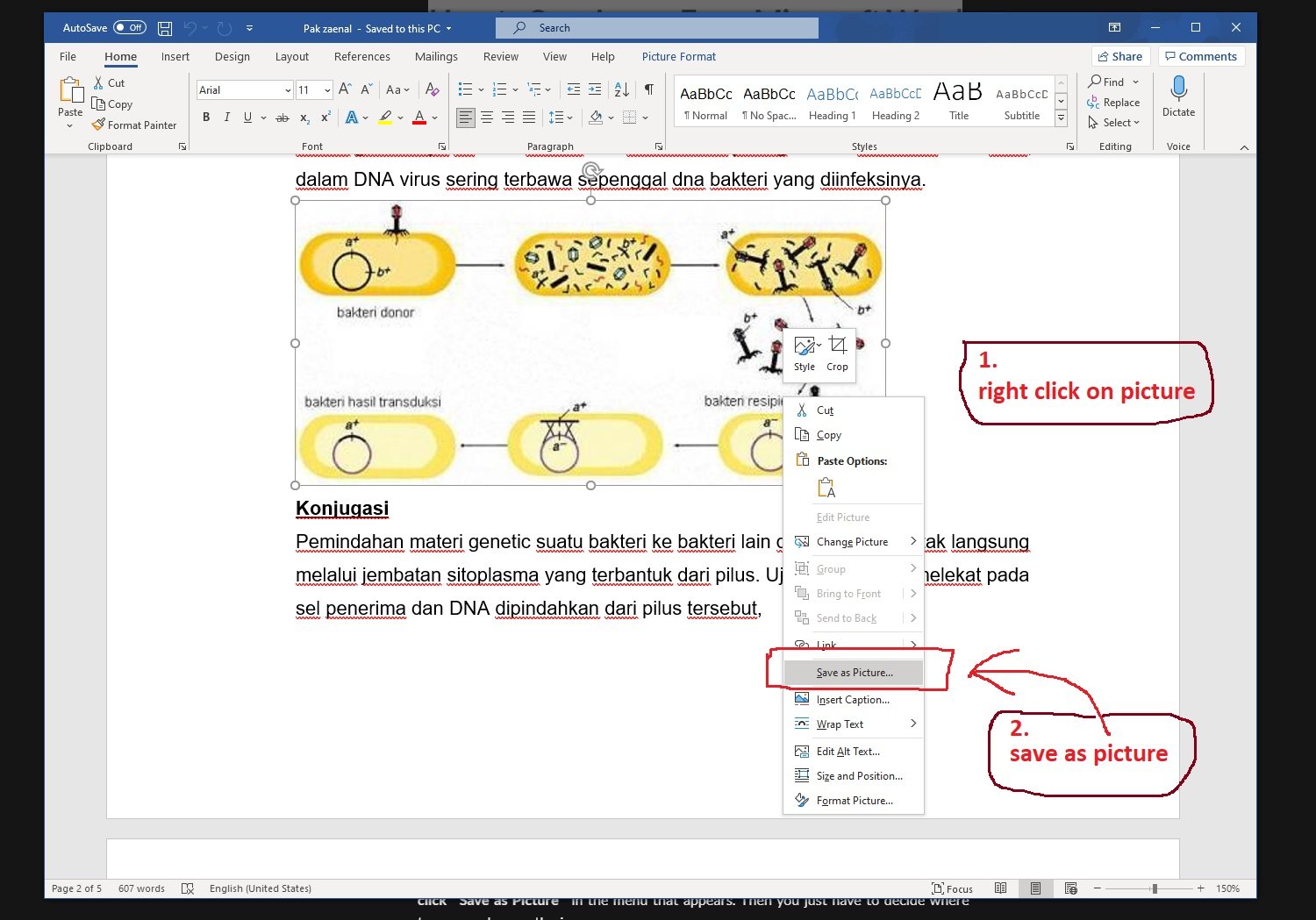 save as picture - microsoft word documant