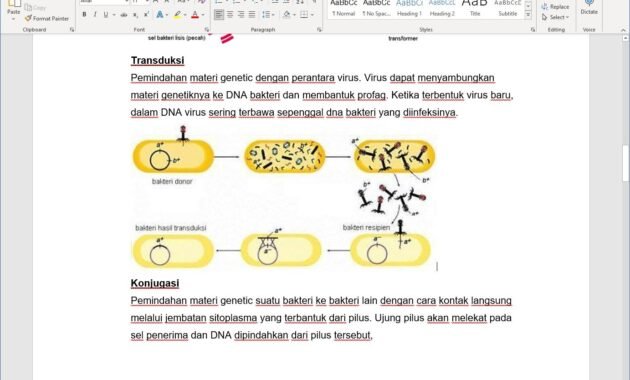 How to Save Image From Microsoft Word Document How to Save Image From Microsoft Word document