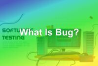 What Is Bug? Definition and Cause