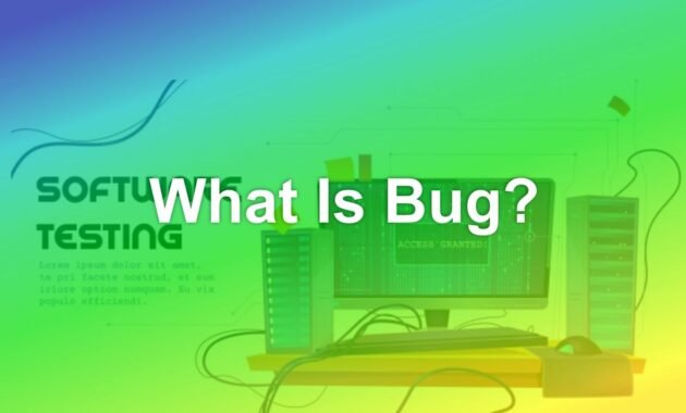 What Is Bug? Definition and Cause What Is Bug? Definition and Cause
