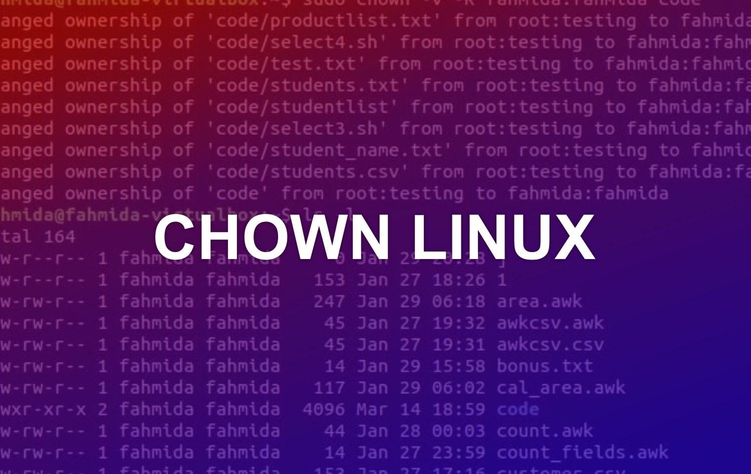CHOWN LINUX