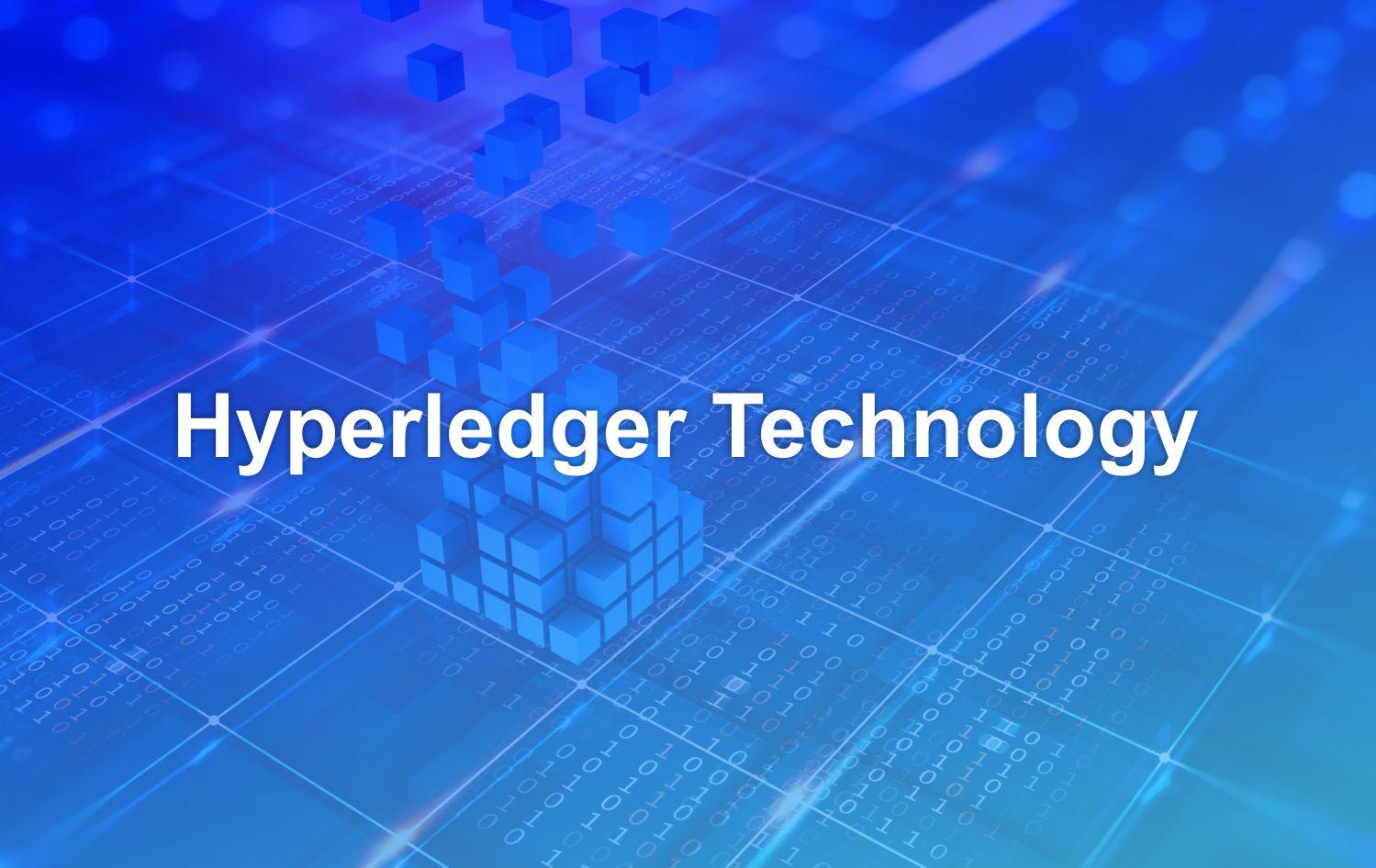 Hyperledger Technology