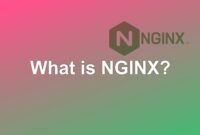 What Is NGINX