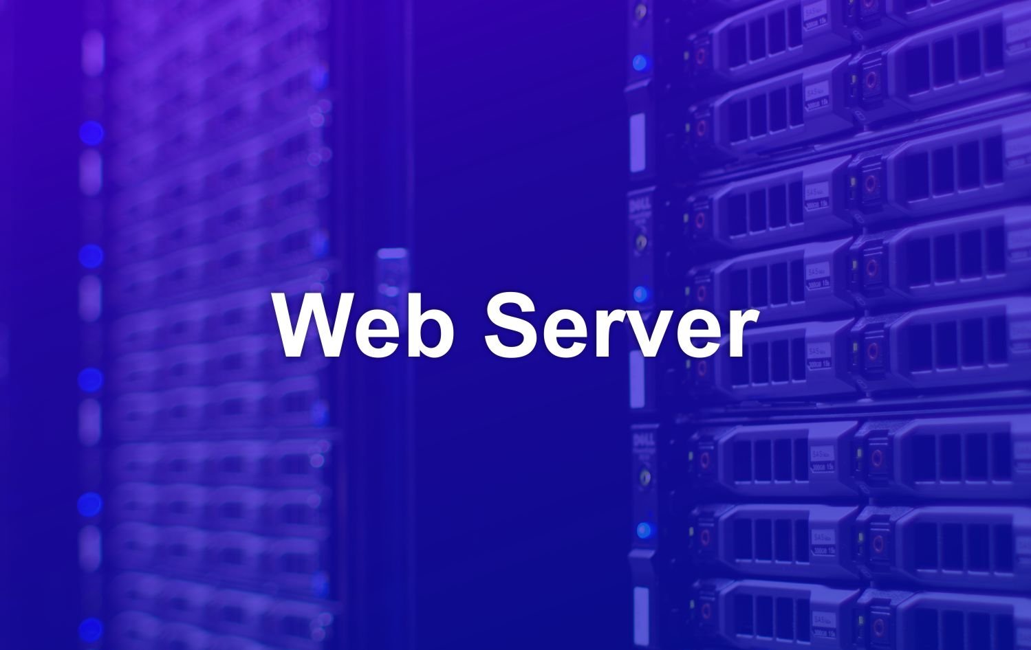 What is Web Server