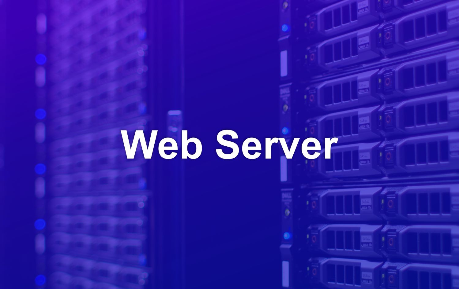 What Is The Main Function Of A Web Server QuyaSoft