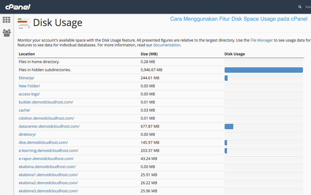 disk space cpanel