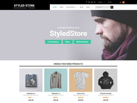 5 Best Free WordPress Theme for eCommerce