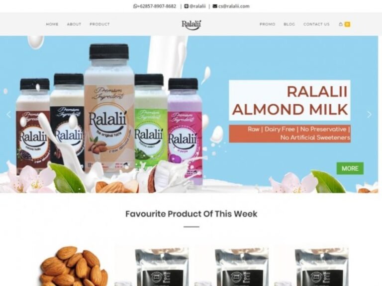 jasa pembuatan website toko online ralalii